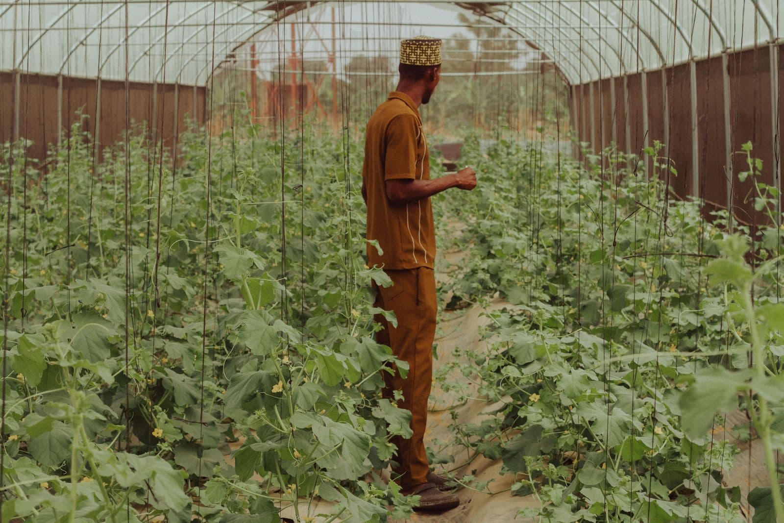 Catalyst AgTech Program